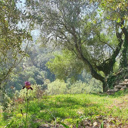 Casa Das Janelinhas - Cottage Near Sintra, Mafra, Ericeira Bagian luar foto