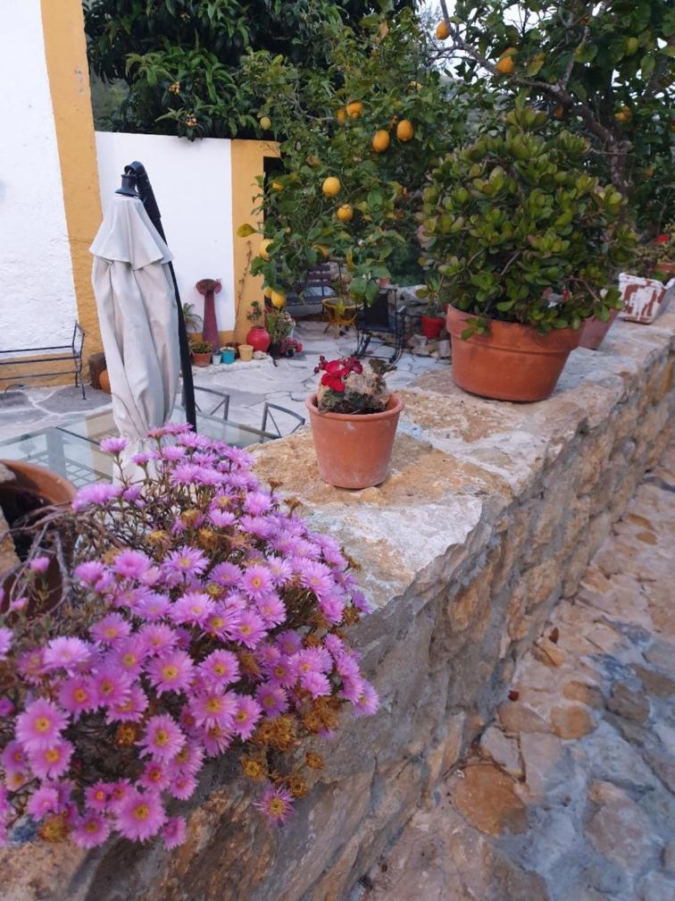 Casa Das Janelinhas - Cottage Near Sintra, Mafra, Ericeira Bagian luar foto
