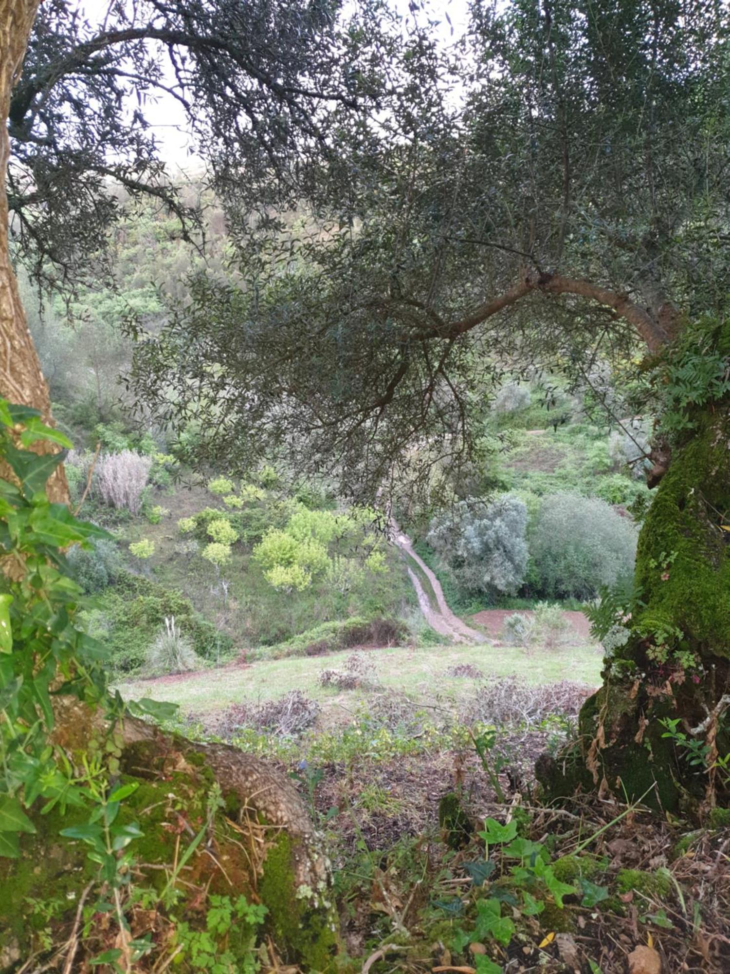 Casa Das Janelinhas - Cottage Near Sintra, Mafra, Ericeira Bagian luar foto